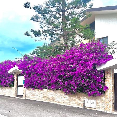 Tulipano Rosso Appartement Bari Buitenkant foto
