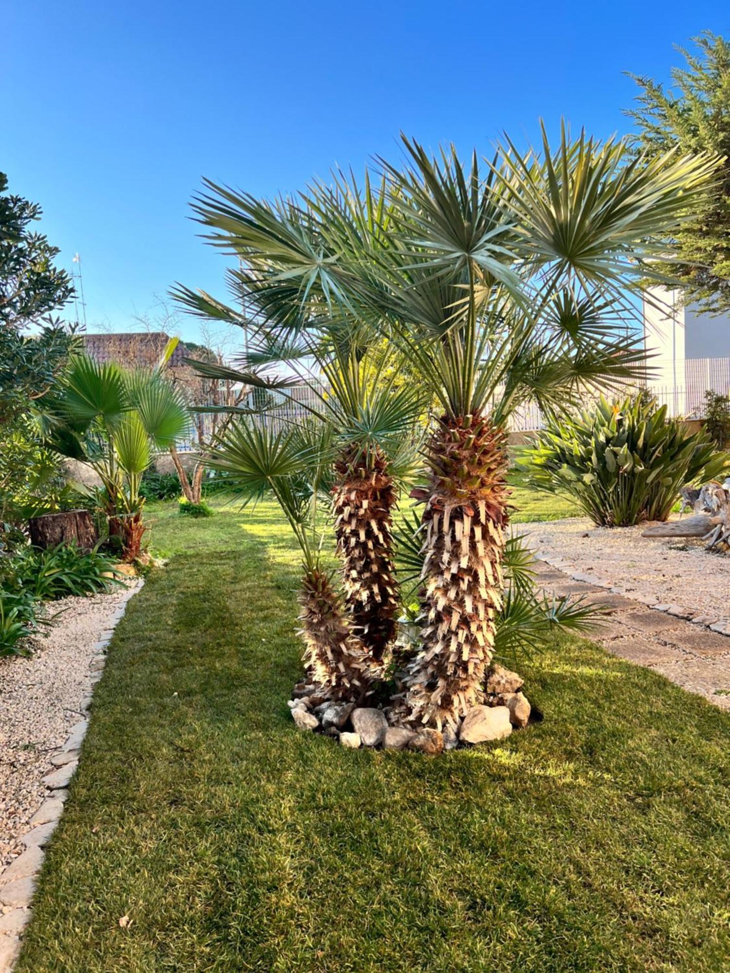Tulipano Rosso Appartement Bari Buitenkant foto