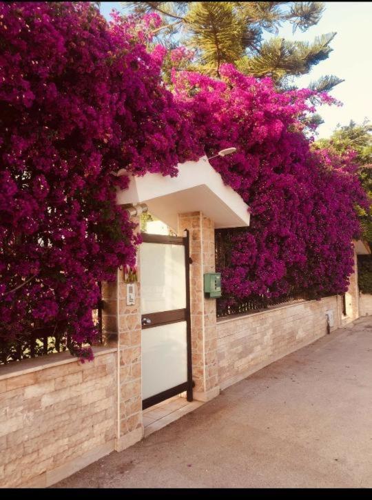 Tulipano Rosso Appartement Bari Buitenkant foto